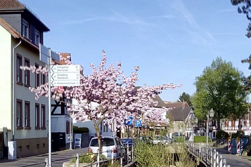 Altstadt Ortskern in Eschborn