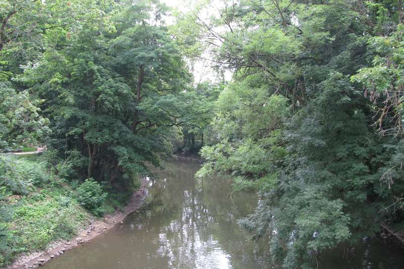 Nidda-Ufer in Frankfurt-Rödelheim